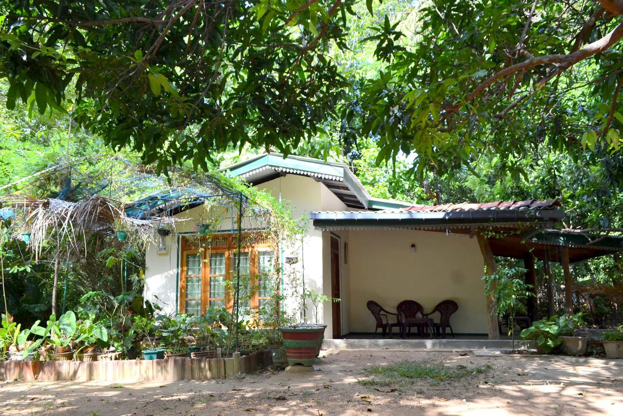 Sigiriya Freedom Lodge Dambulla Exterior photo