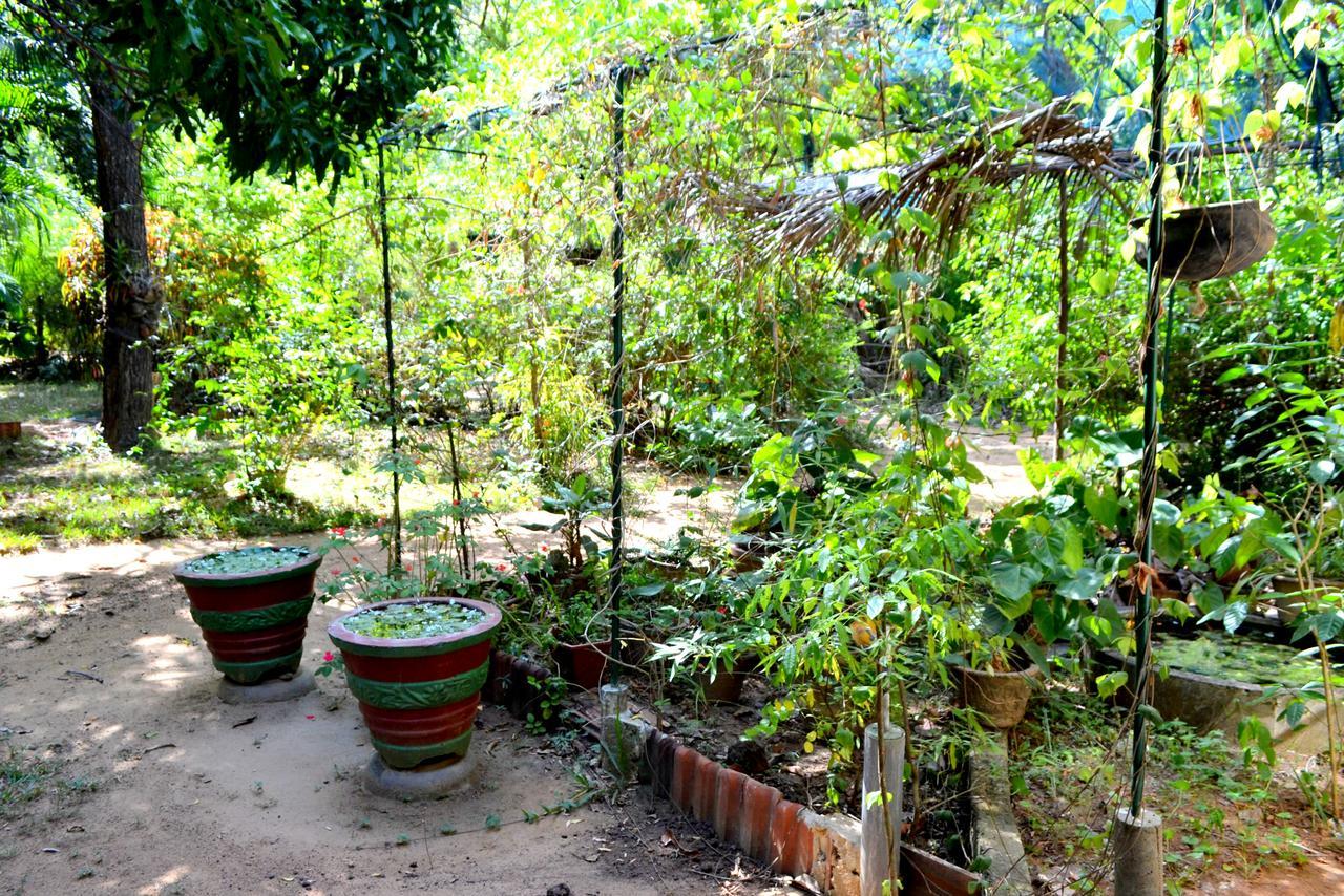 Sigiriya Freedom Lodge Dambulla Exterior photo